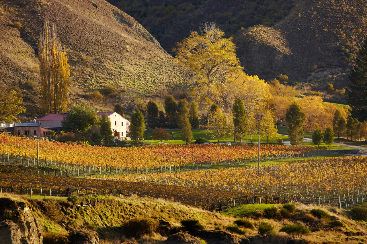 Chard Farm Winery in Autumn