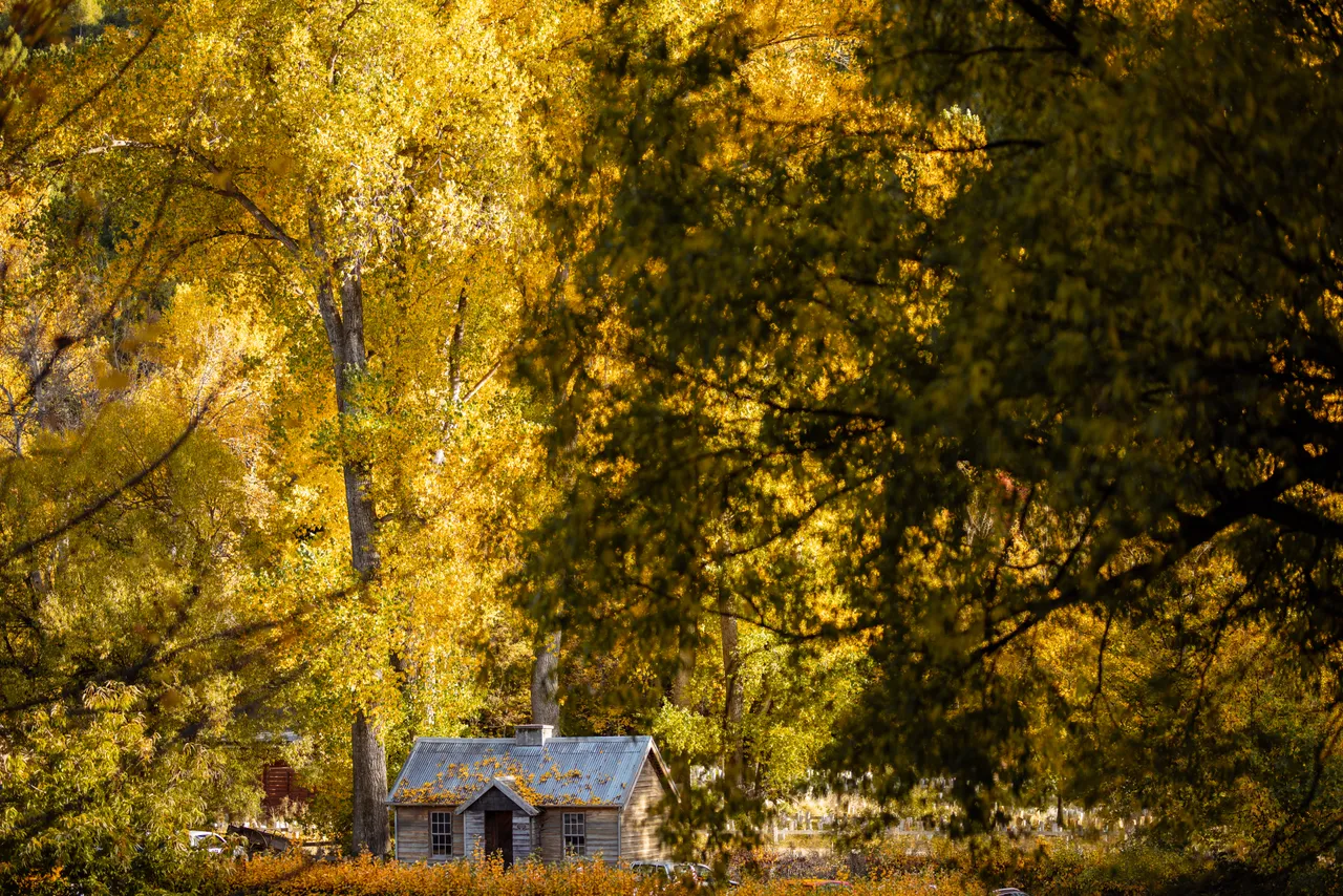 Arrowtown Autumn Scenic - Police Hut