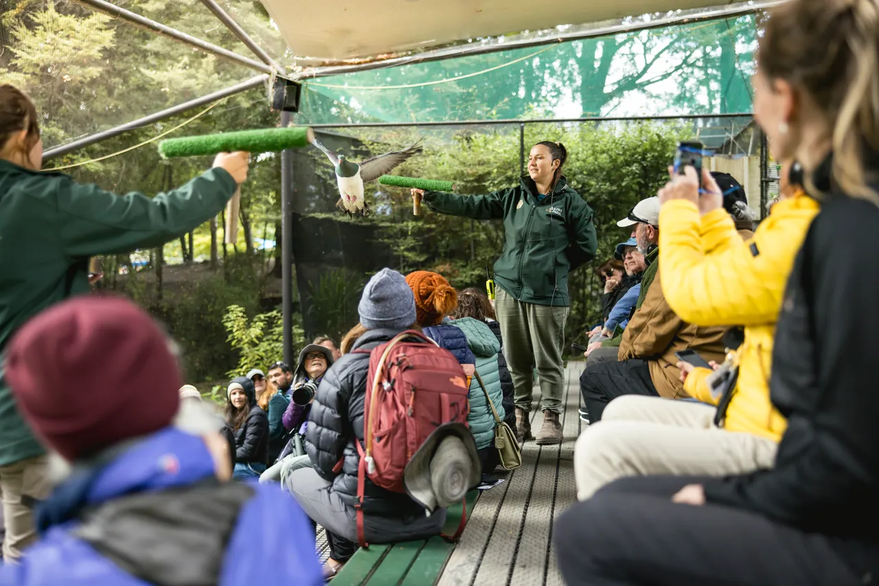 Conservation Show, Kiwi Park Queenstown
