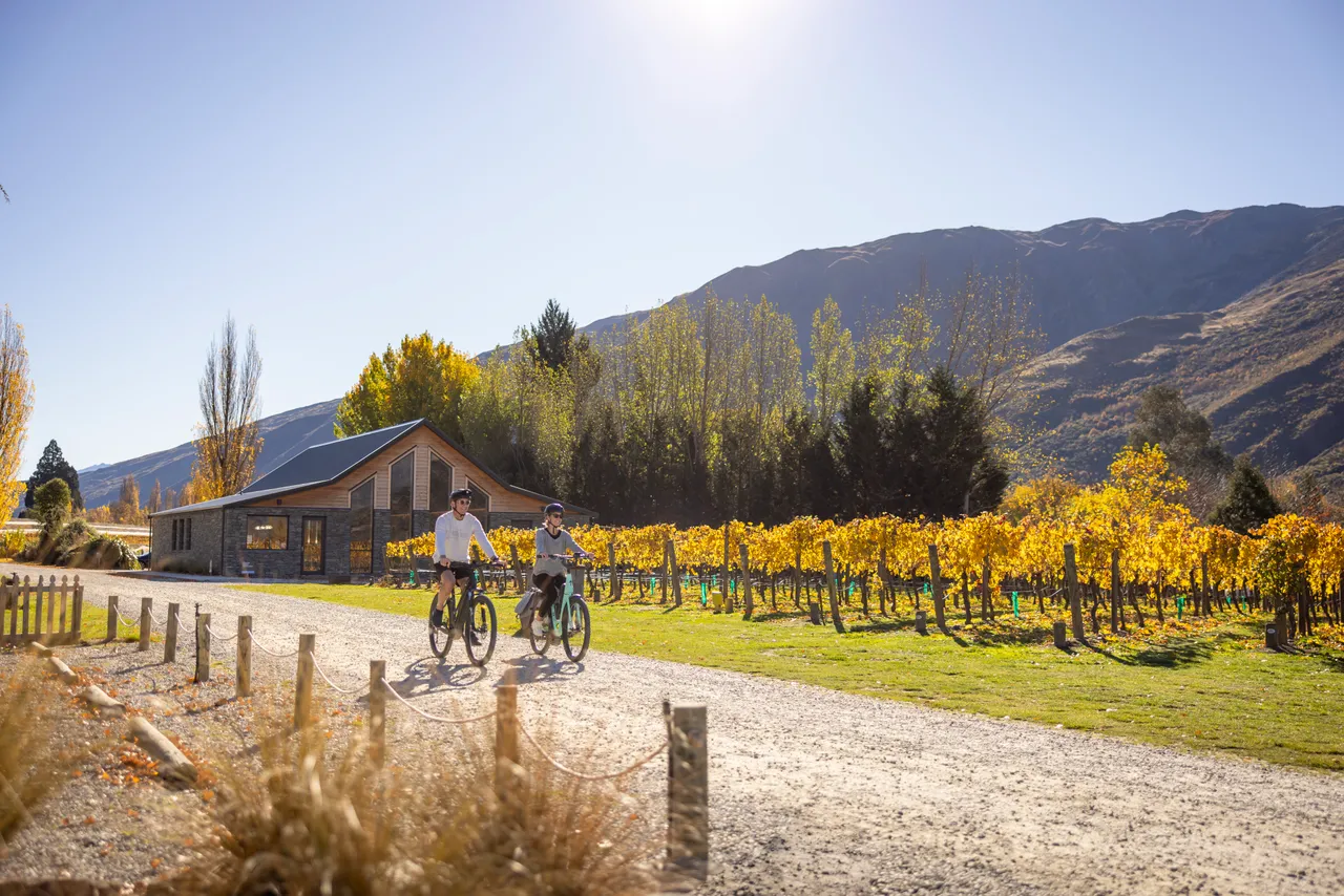 Biking Kinross Winery, Gibbston