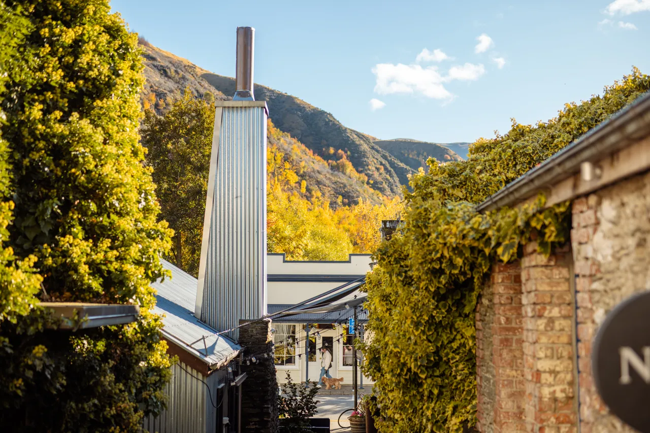 Arrowtown Autumn Scenic
