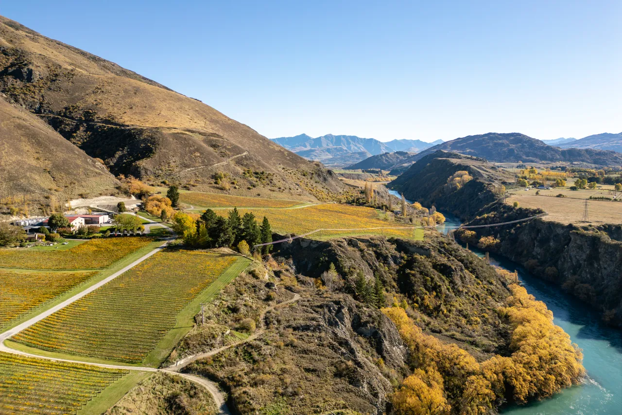 Gibbston Scenic
