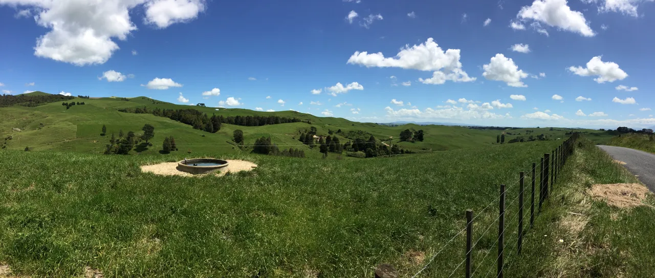 Views For Days