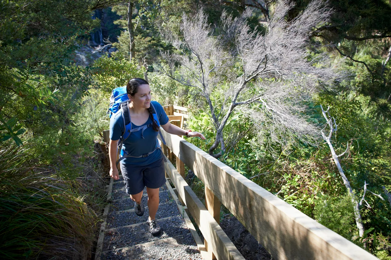 Take a Hike