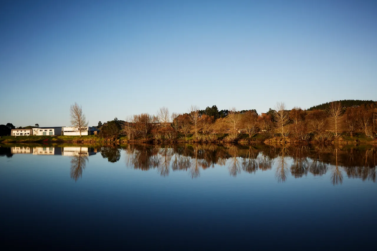 The Waikato River in Autumn