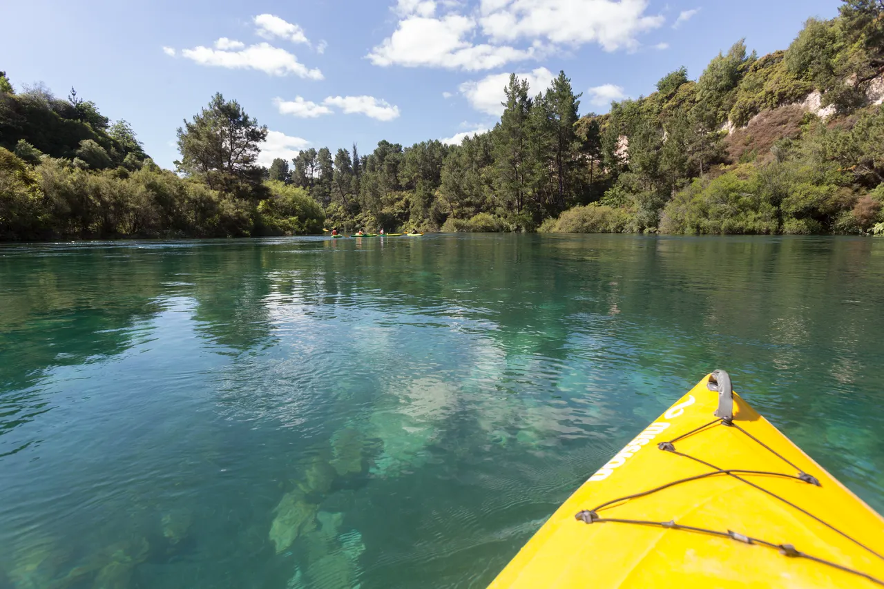 Paddle Power