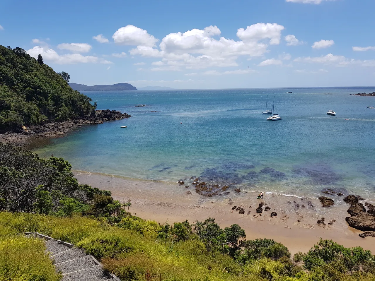 Little Bay Coromandel Peninsula