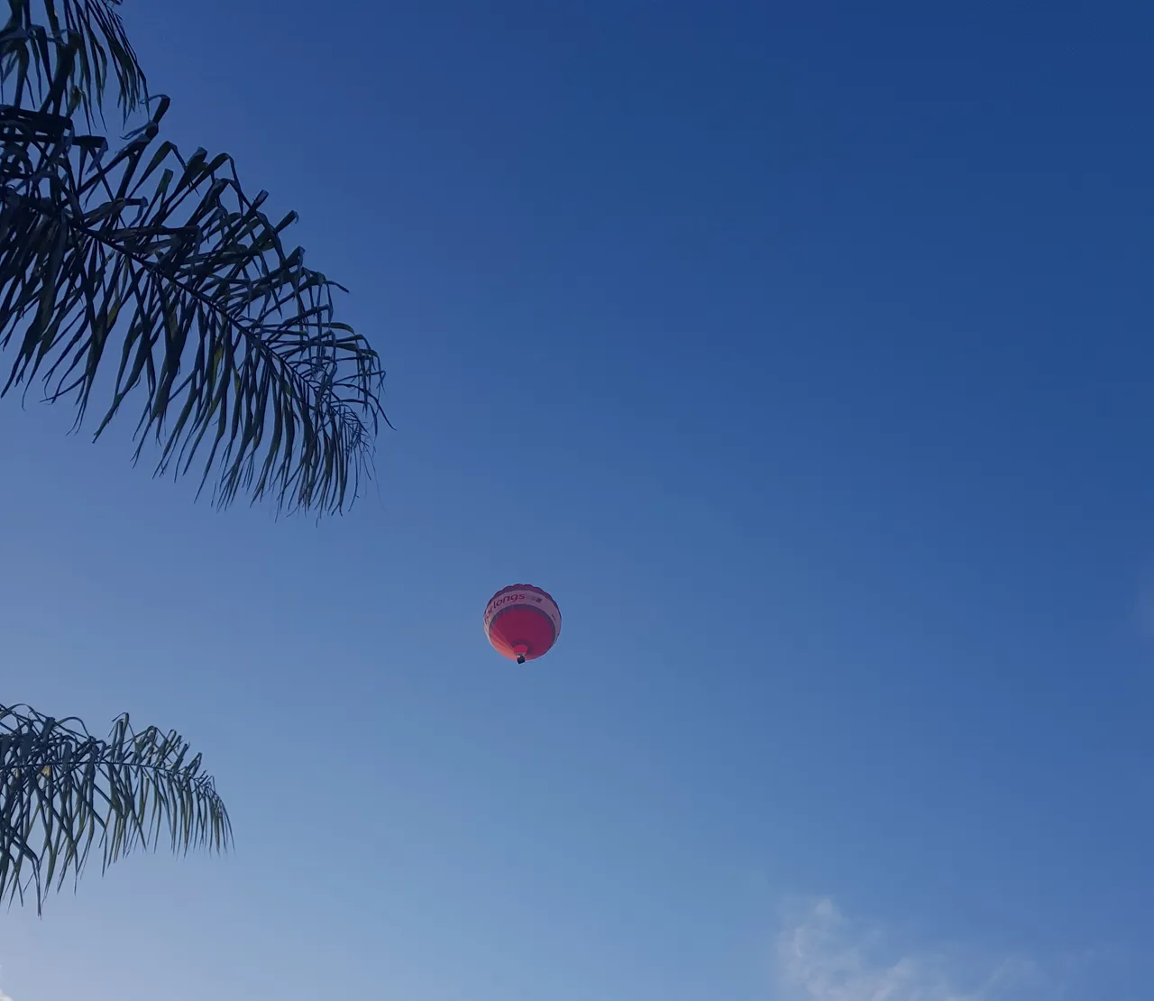 Balloons over Waikato