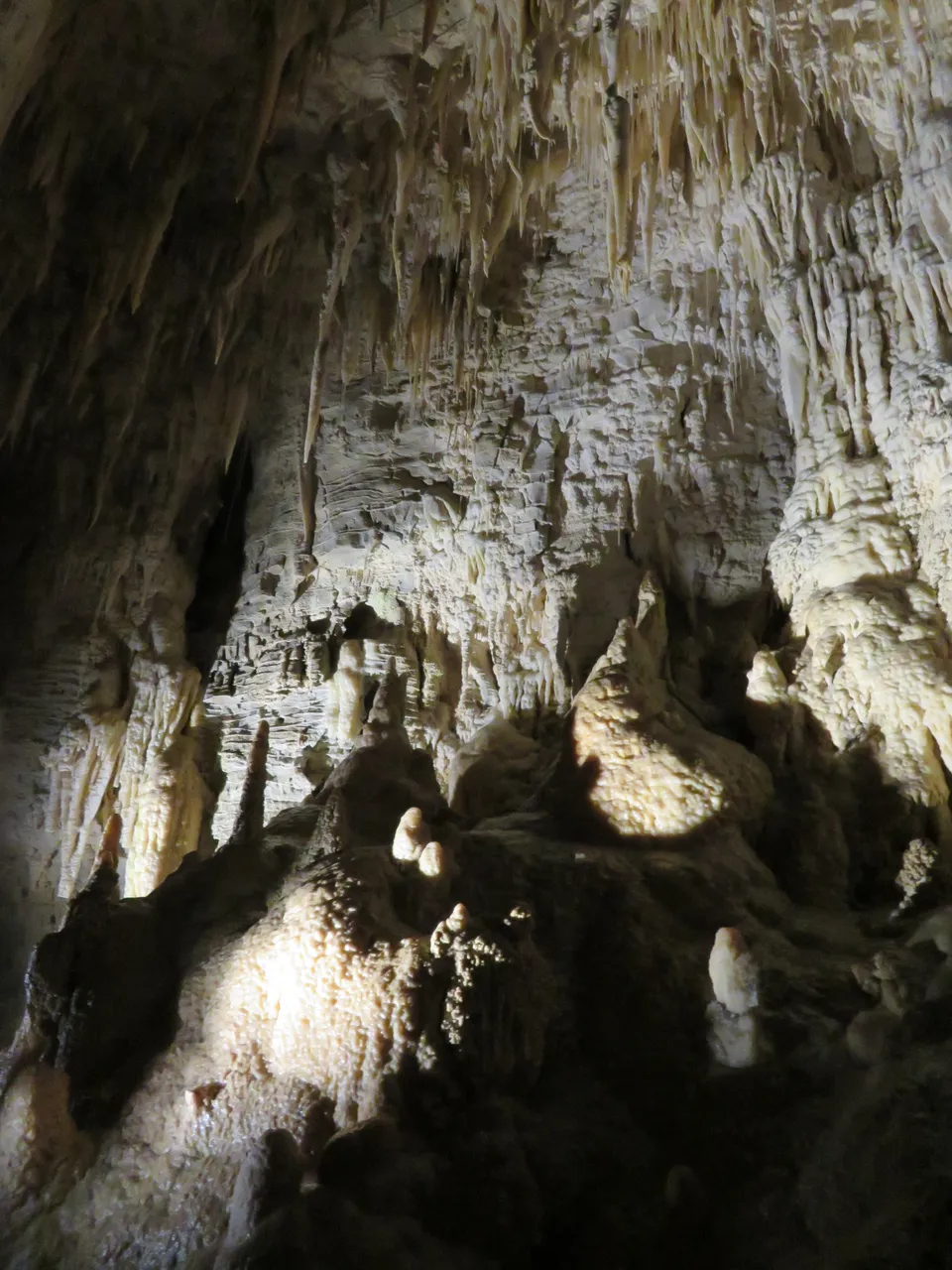 Ruakuri Caves at Waitomo Caves (15)