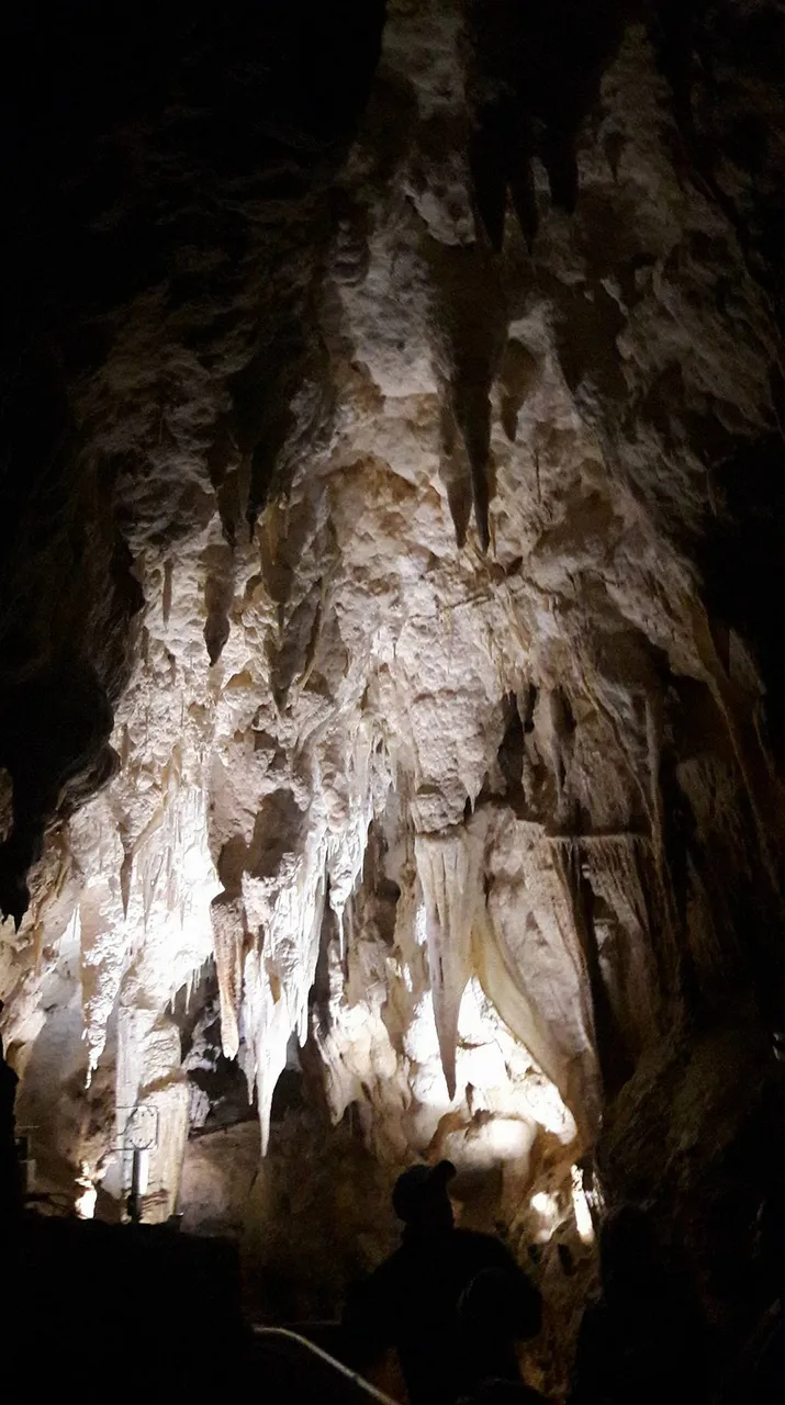 Ruakuri Caves at Waitomo Caves (23)