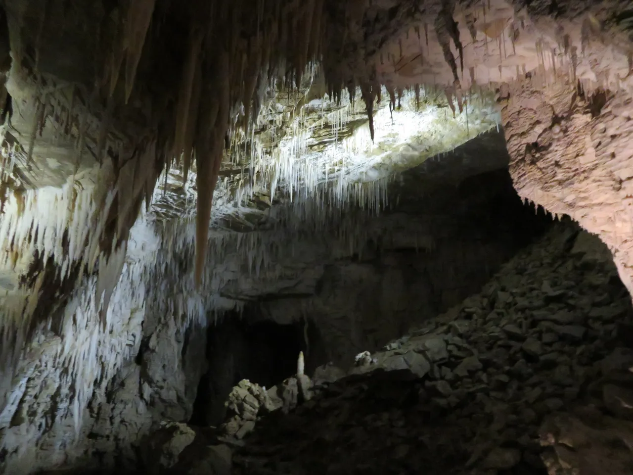 Ruakuri Caves at Waitomo Caves (7)