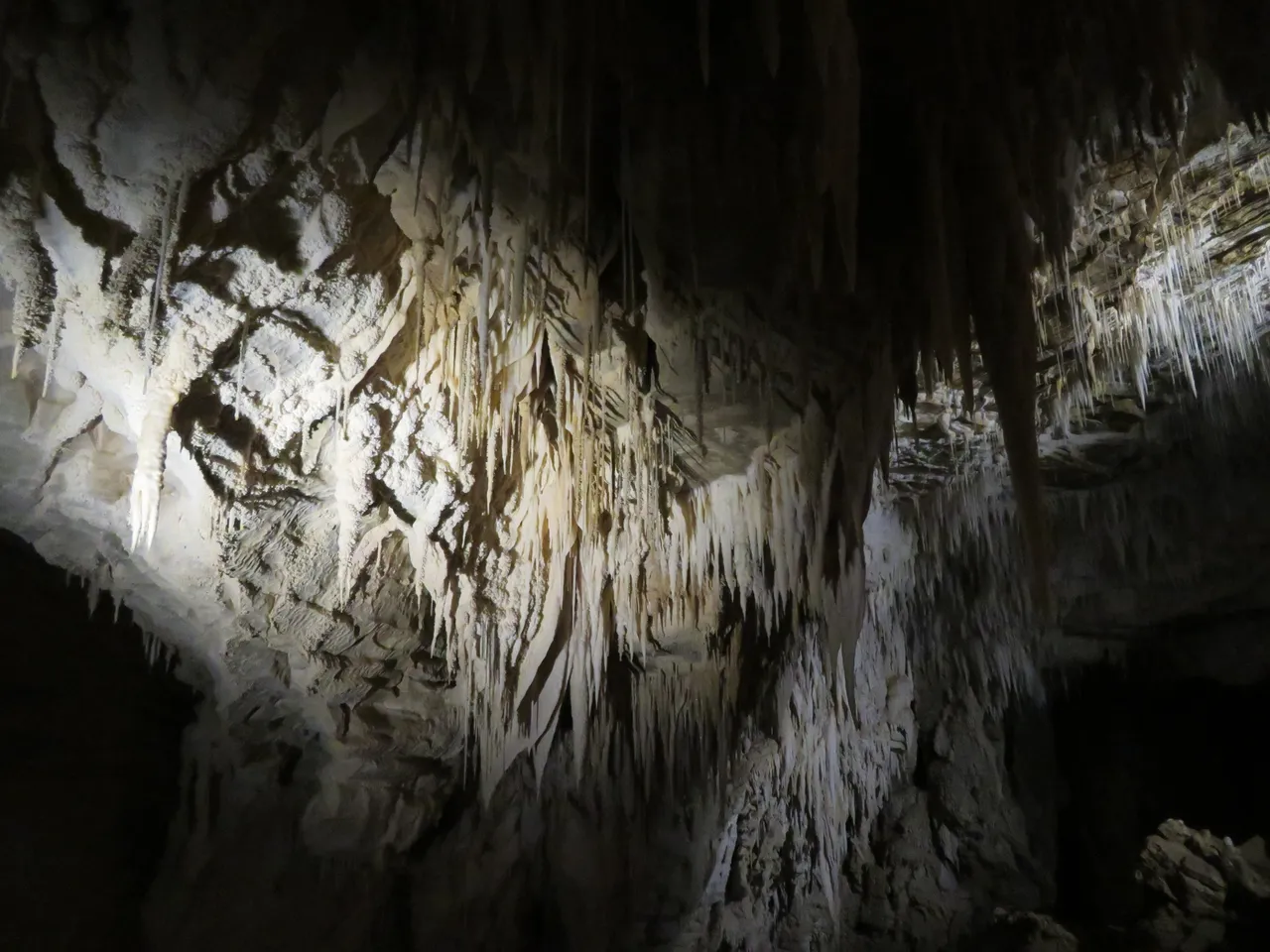 Ruakuri Caves at Waitomo Caves (8)