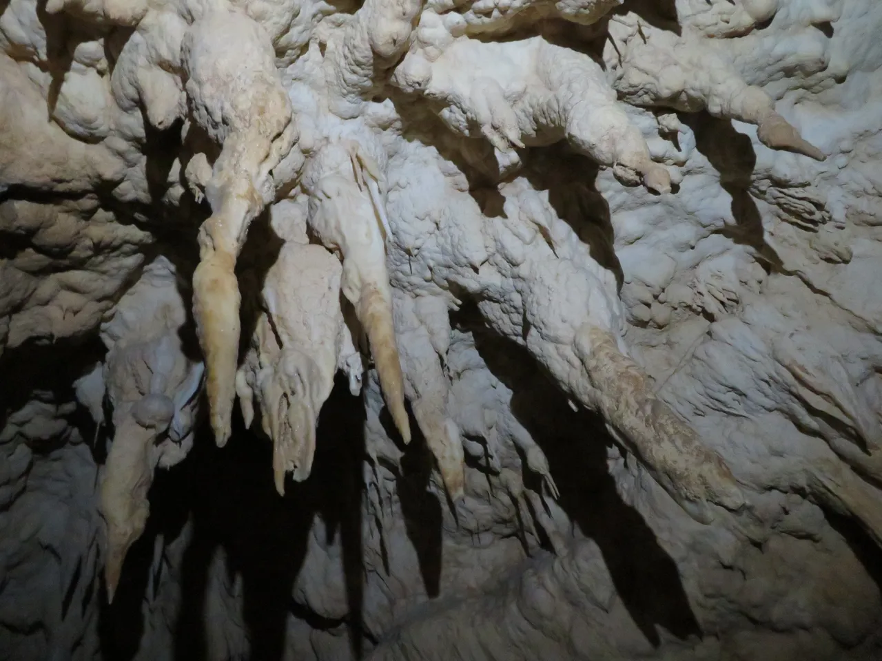 Ruakuri Caves at Waitomo Caves (1)