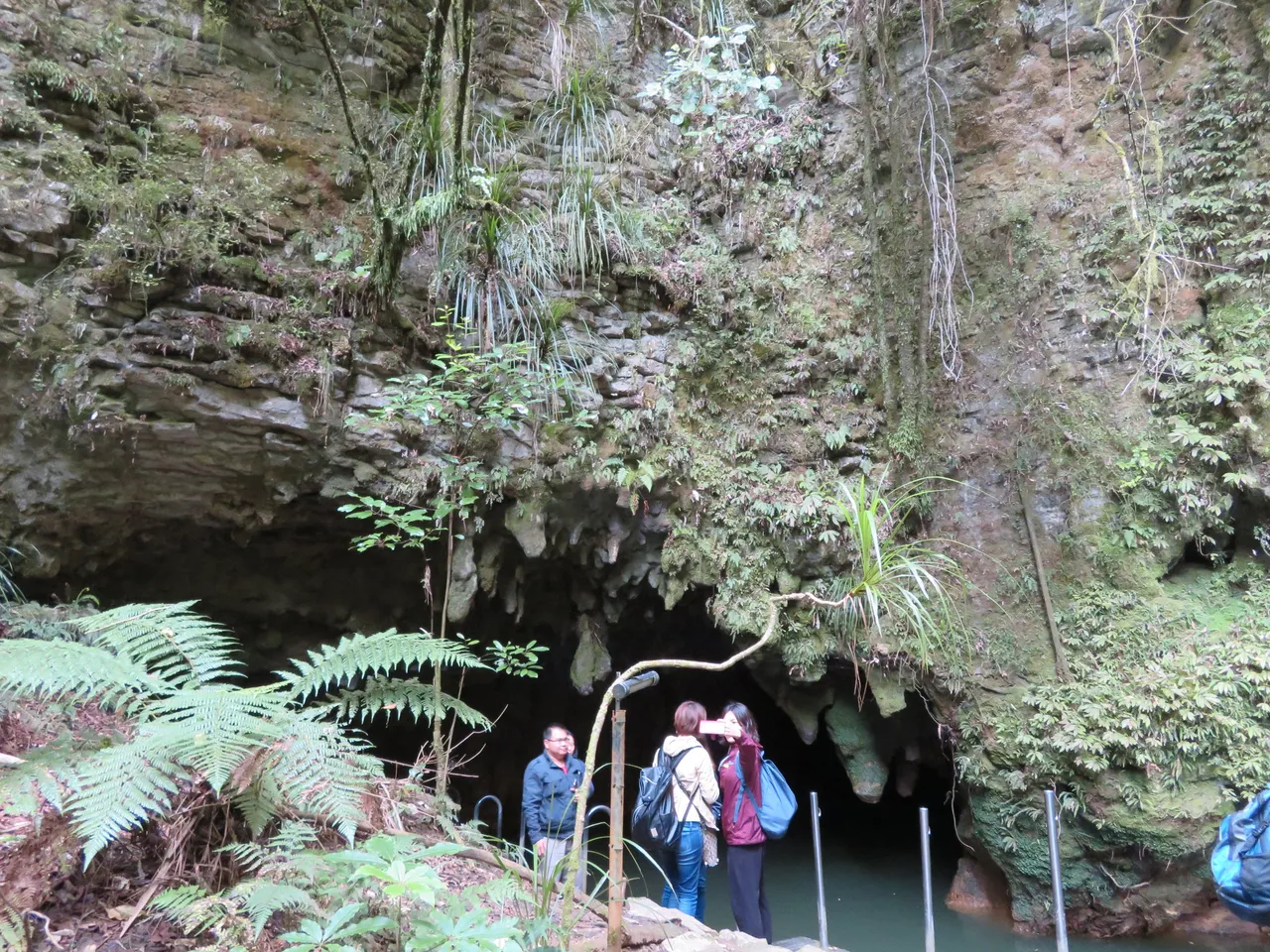 Outside the Glow Worms Cave exit at Waitomo Caves (4)