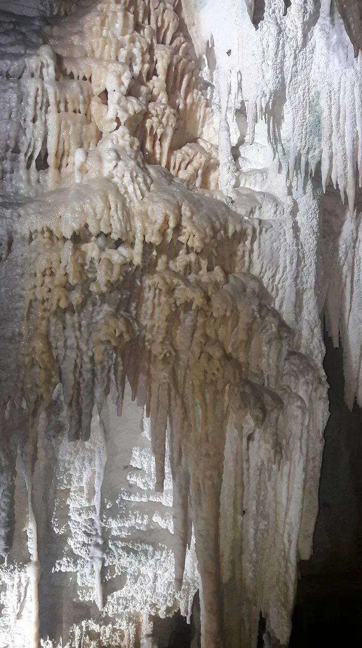 Aranui Cave at Waitomo Caves (29)
