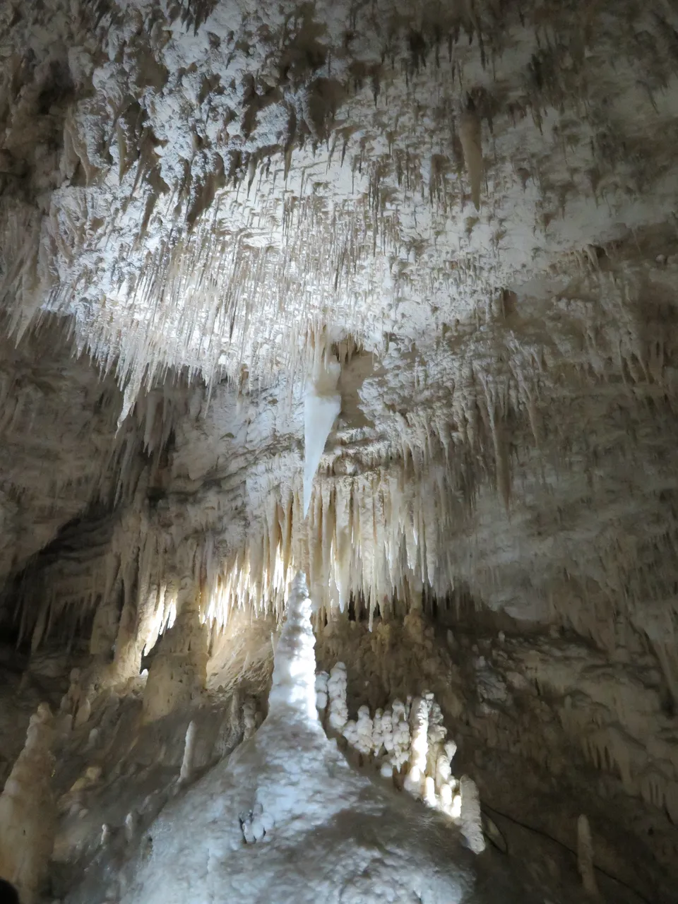 Aranui Cave at Waitomo Caves (19)