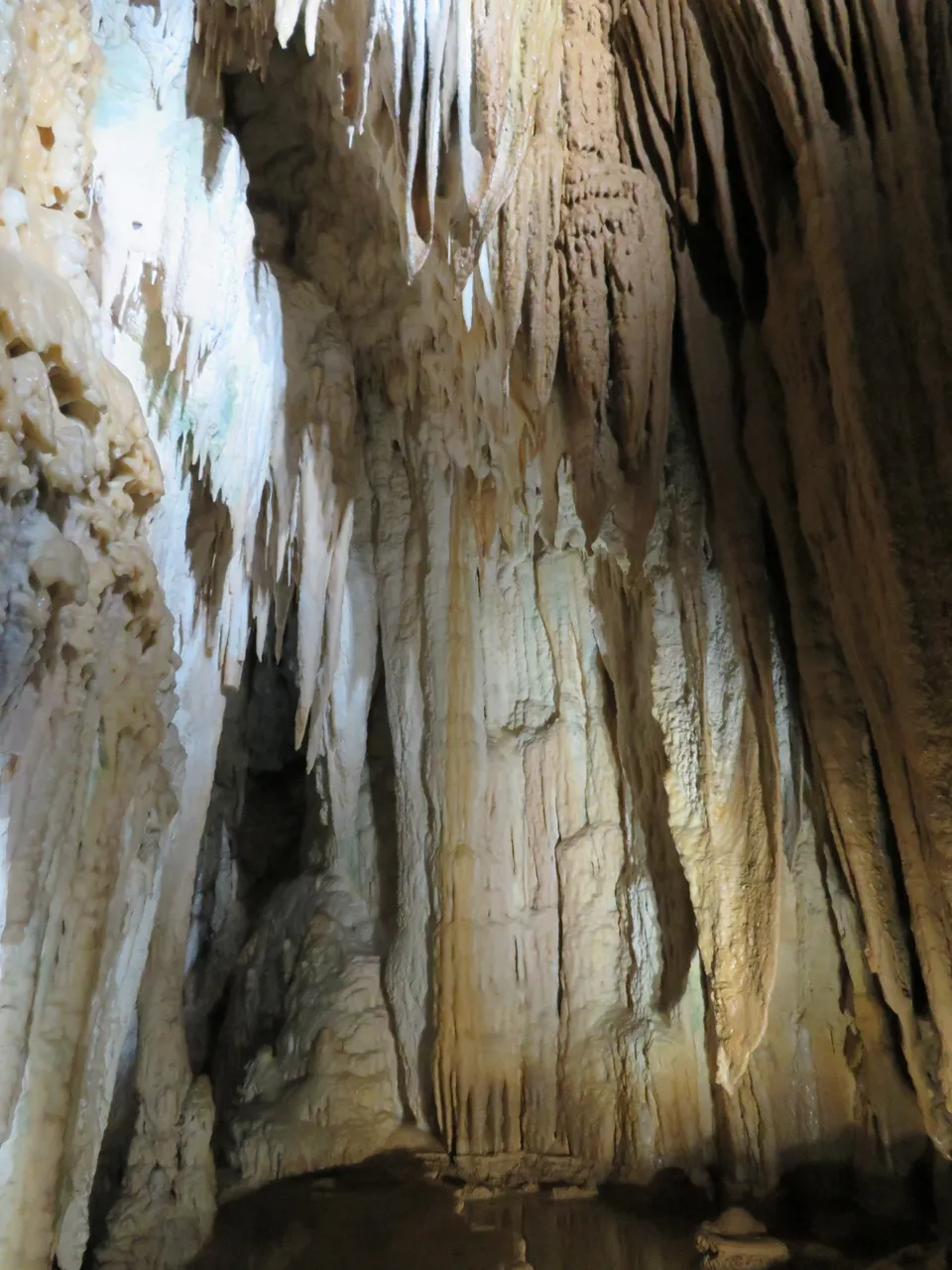 Aranui Cave at Waitomo Caves (24)