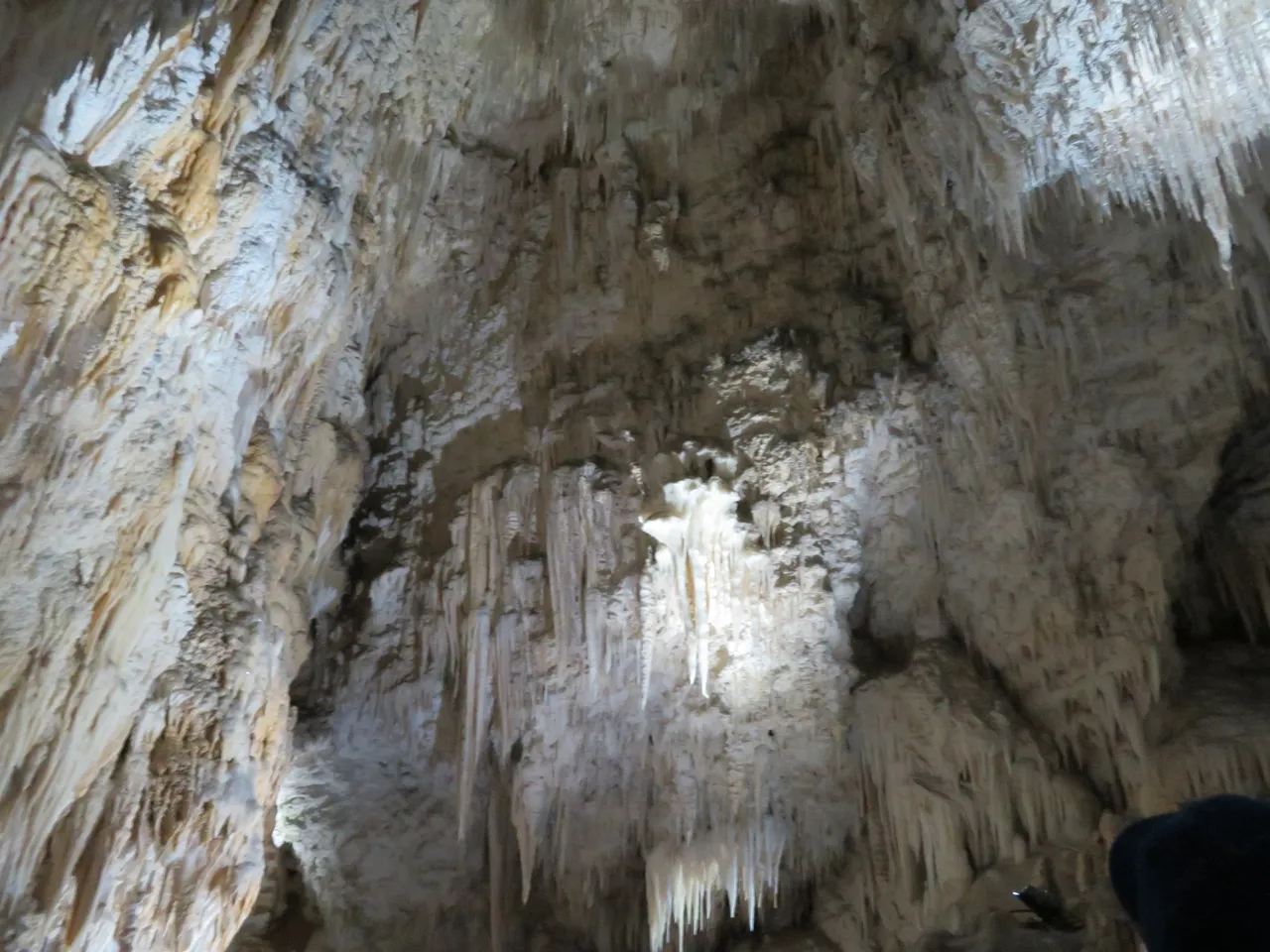 Aranui Cave at Waitomo Caves (17)