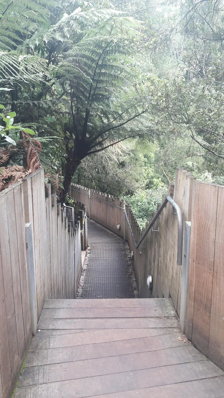 Walkway to the Glow Worms Cave at Waitomo Caves
