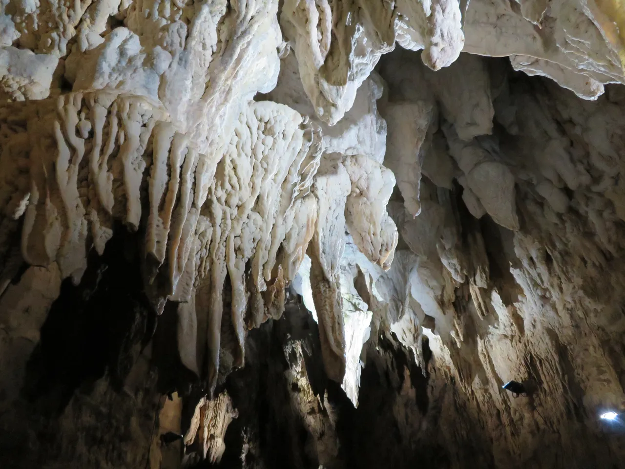 Aranui Cave at Waitomo Caves (4)