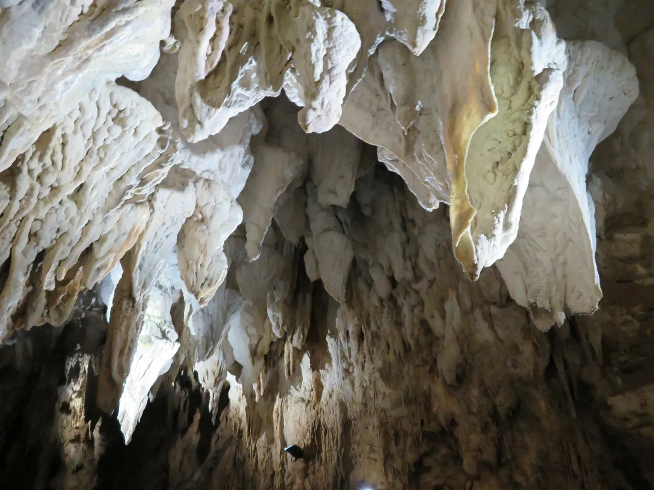 Aranui Cave at Waitomo Caves (5)