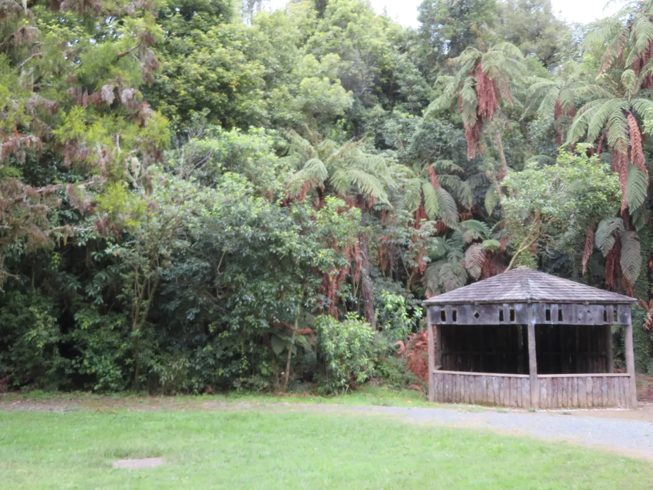 Waitomo area, Waikato - exploring near Aranui Cave, Waitomo Caves.  (2)