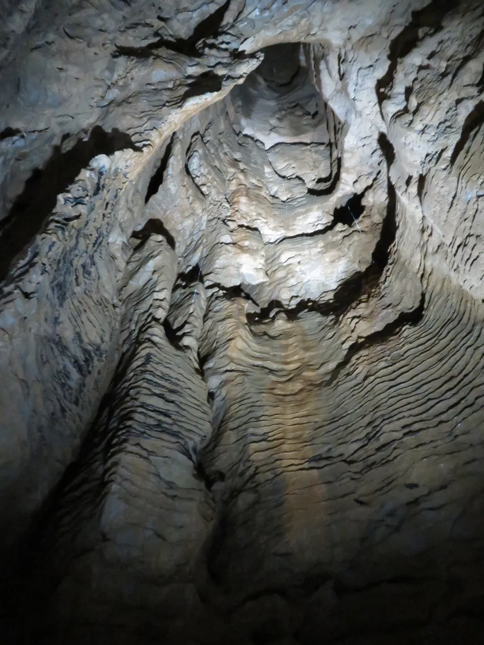 Ruakuri Caves at Waitomo Caves (22)