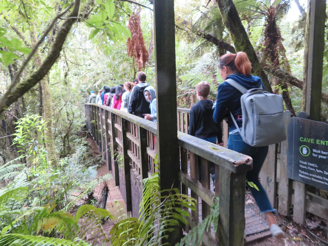 Waitomo area walking track by Aranui Cave, Waitomo Caves, Waitomo area Waikato (2)