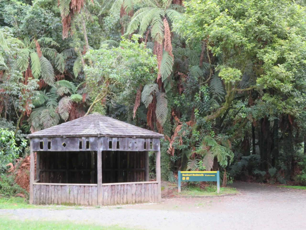 Waitomo area, Waikato - exploring near Aranui Cave, Waitomo Caves.  (3)
