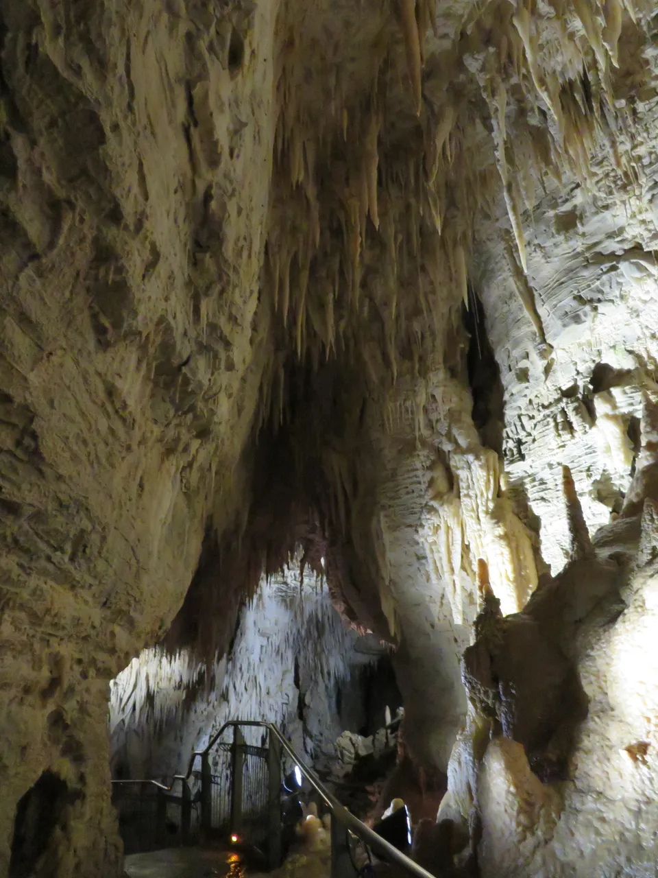 Ruakuri Caves at Waitomo Caves (20)