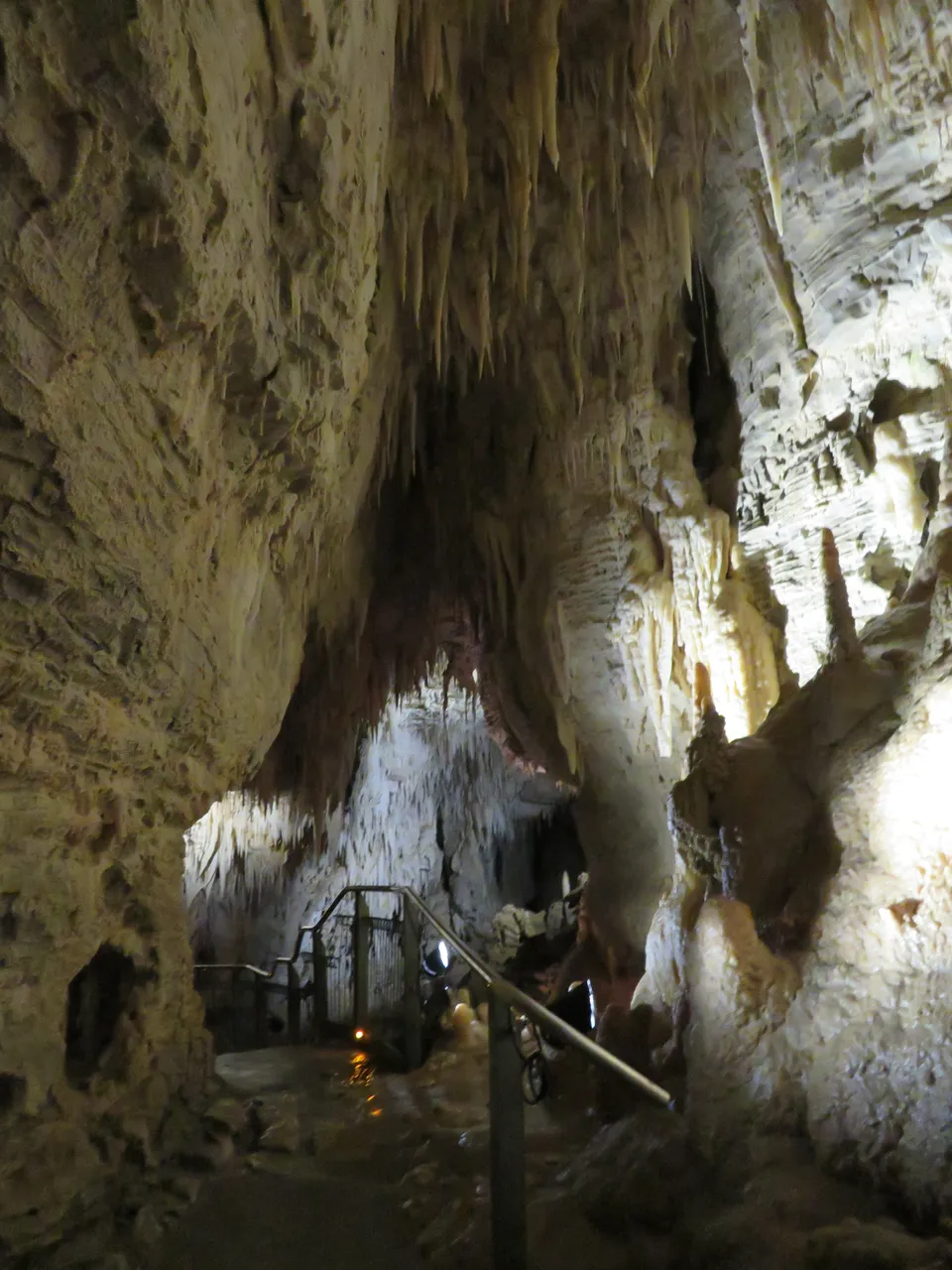 Ruakuri Caves at Waitomo Caves (19)