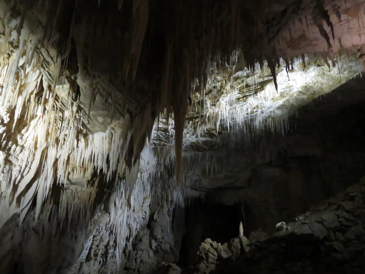 Ruakuri Caves at Waitomo Caves (11)