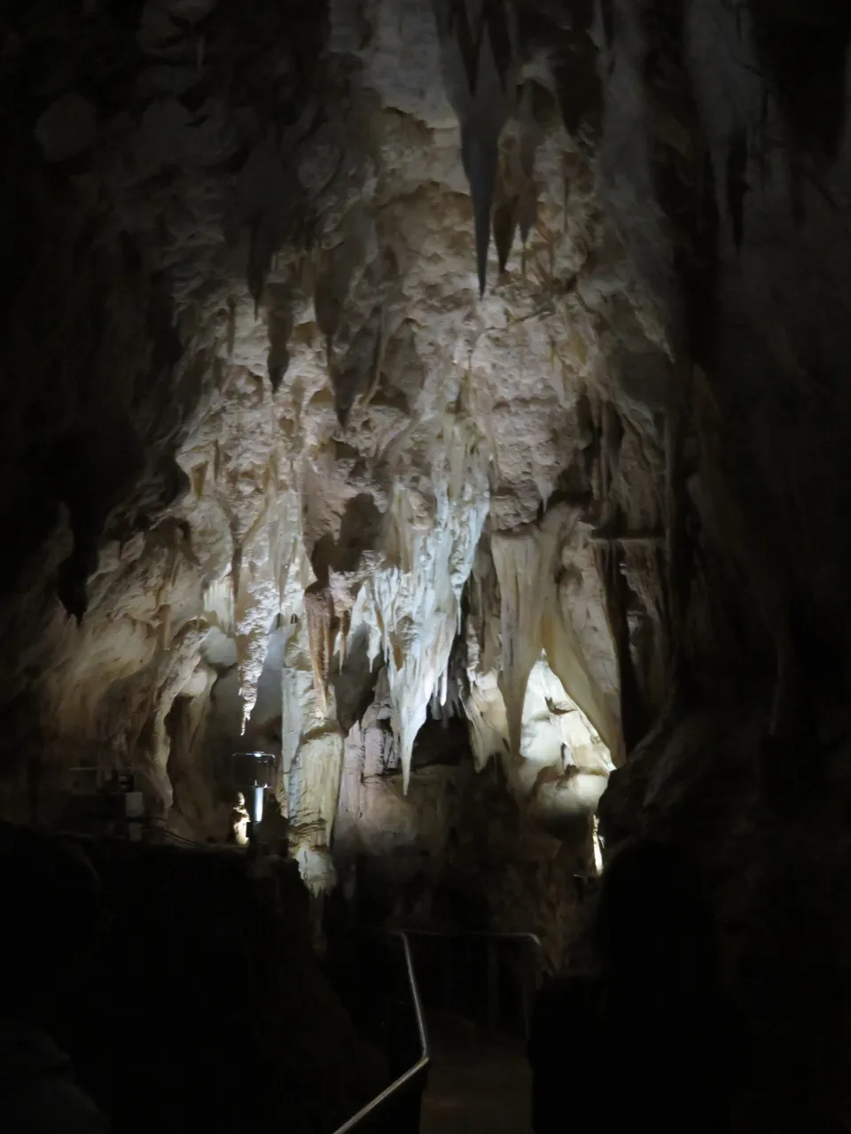 Ruakuri Caves at Waitomo Caves (2)