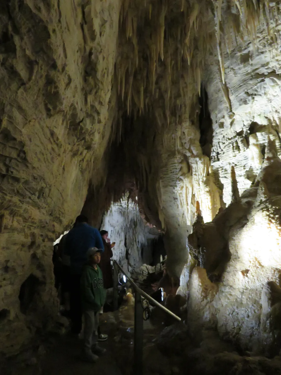 Ruakuri Caves at Waitomo Caves (14)