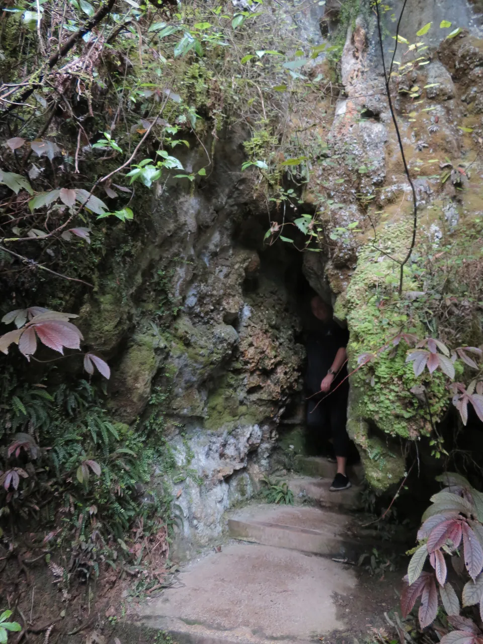 Aranui Cave at Waitomo Caves (28)