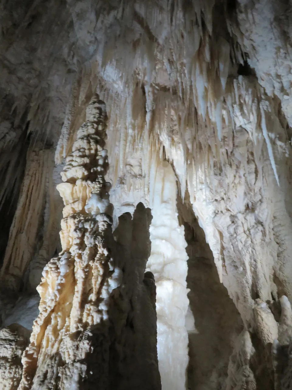 Aranui Cave at Waitomo Caves (20)