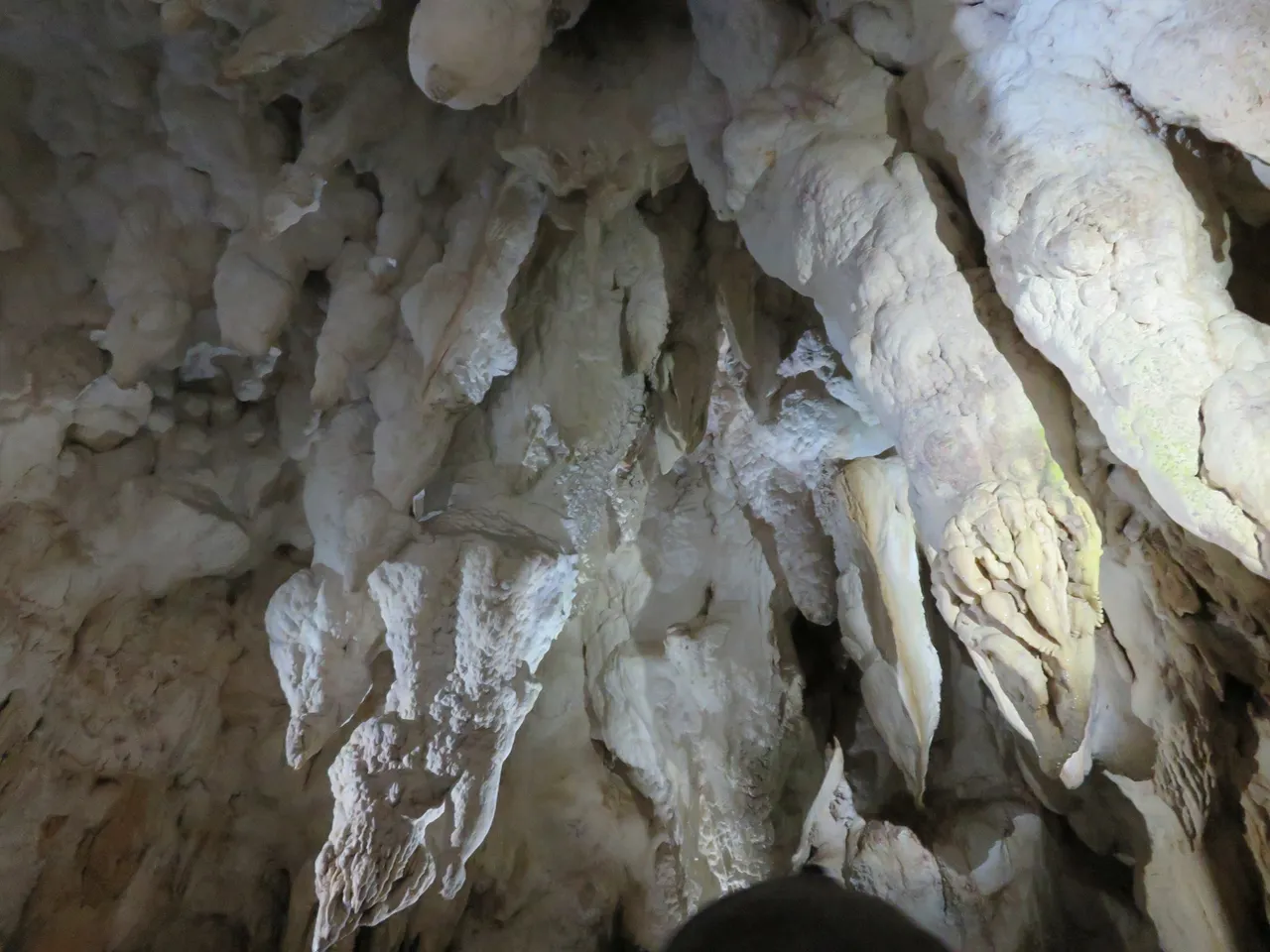 Aranui Cave at Waitomo Caves (7)