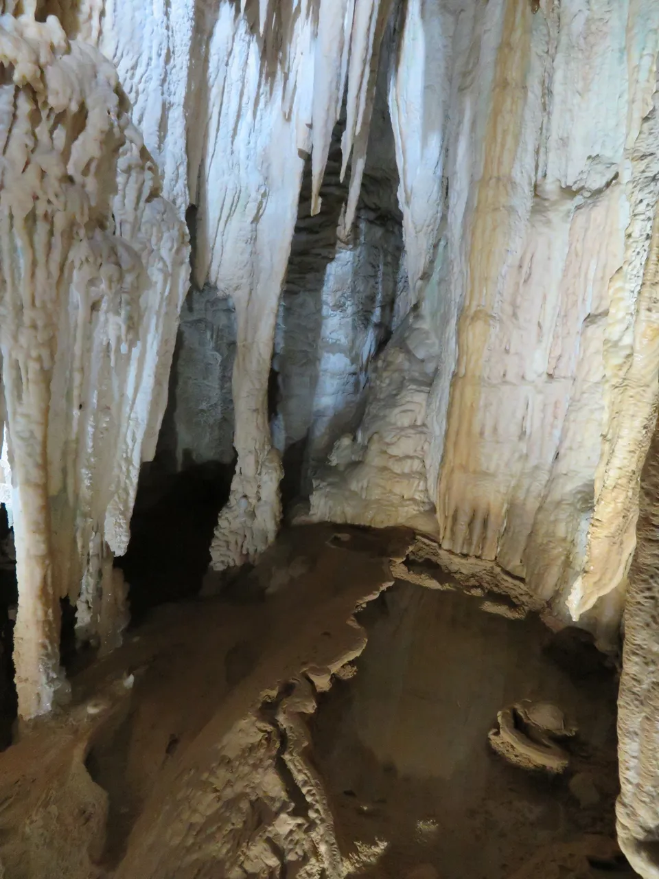 Aranui Cave at Waitomo Caves (25)