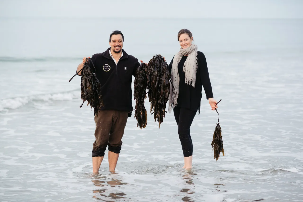 Seaweed Harvest 2 Tane & Clare