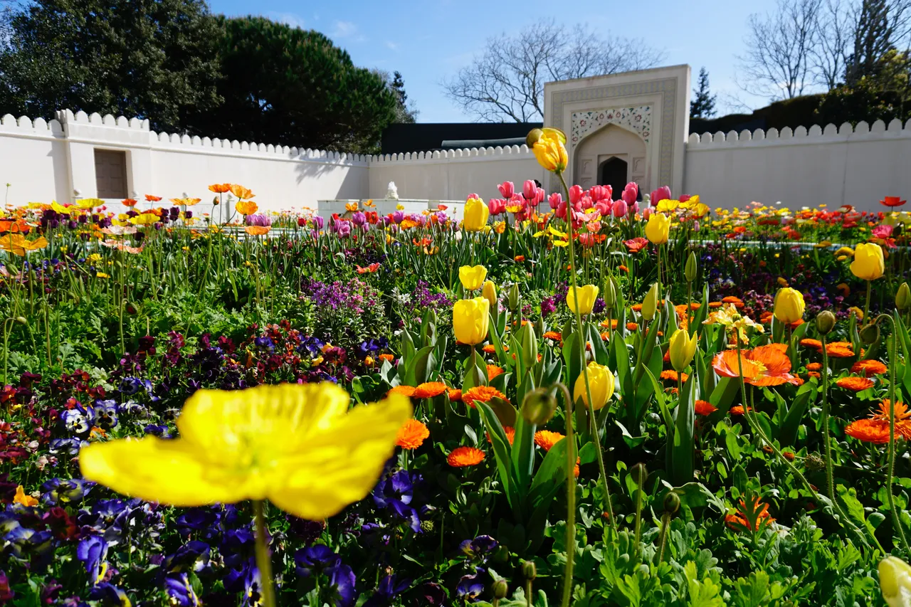 Gardens and Raglan