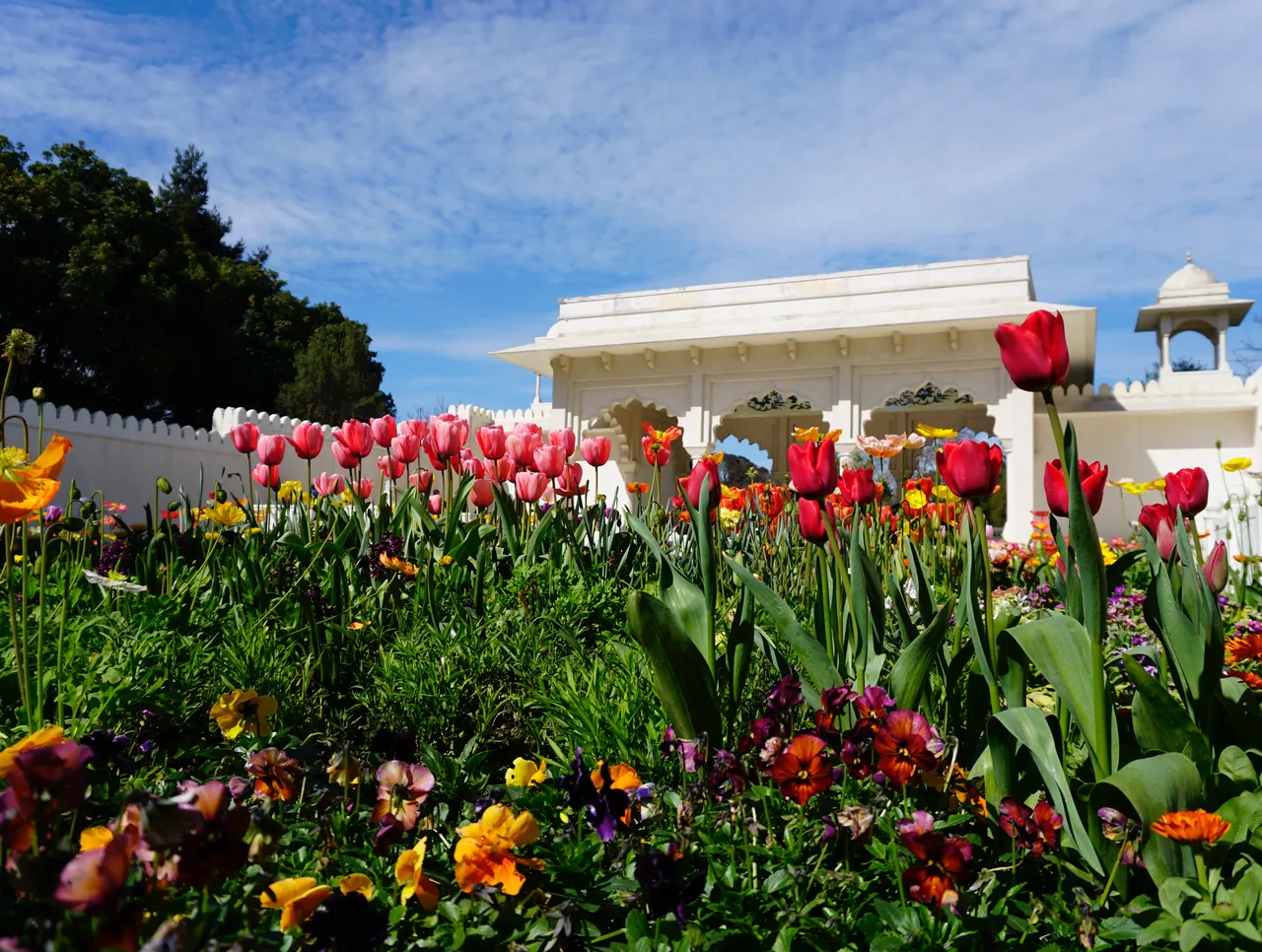 Gardens and Raglan