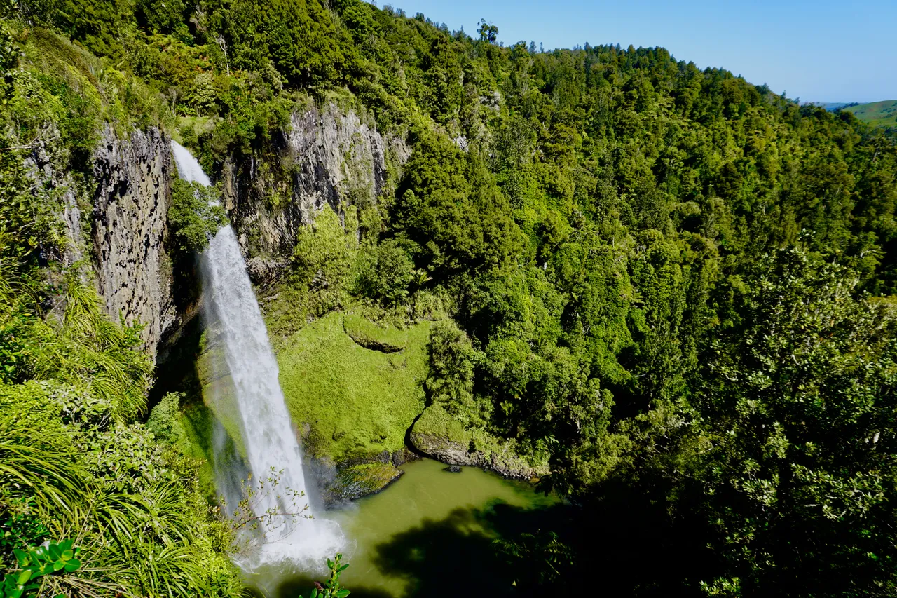 Gardens and Raglan
