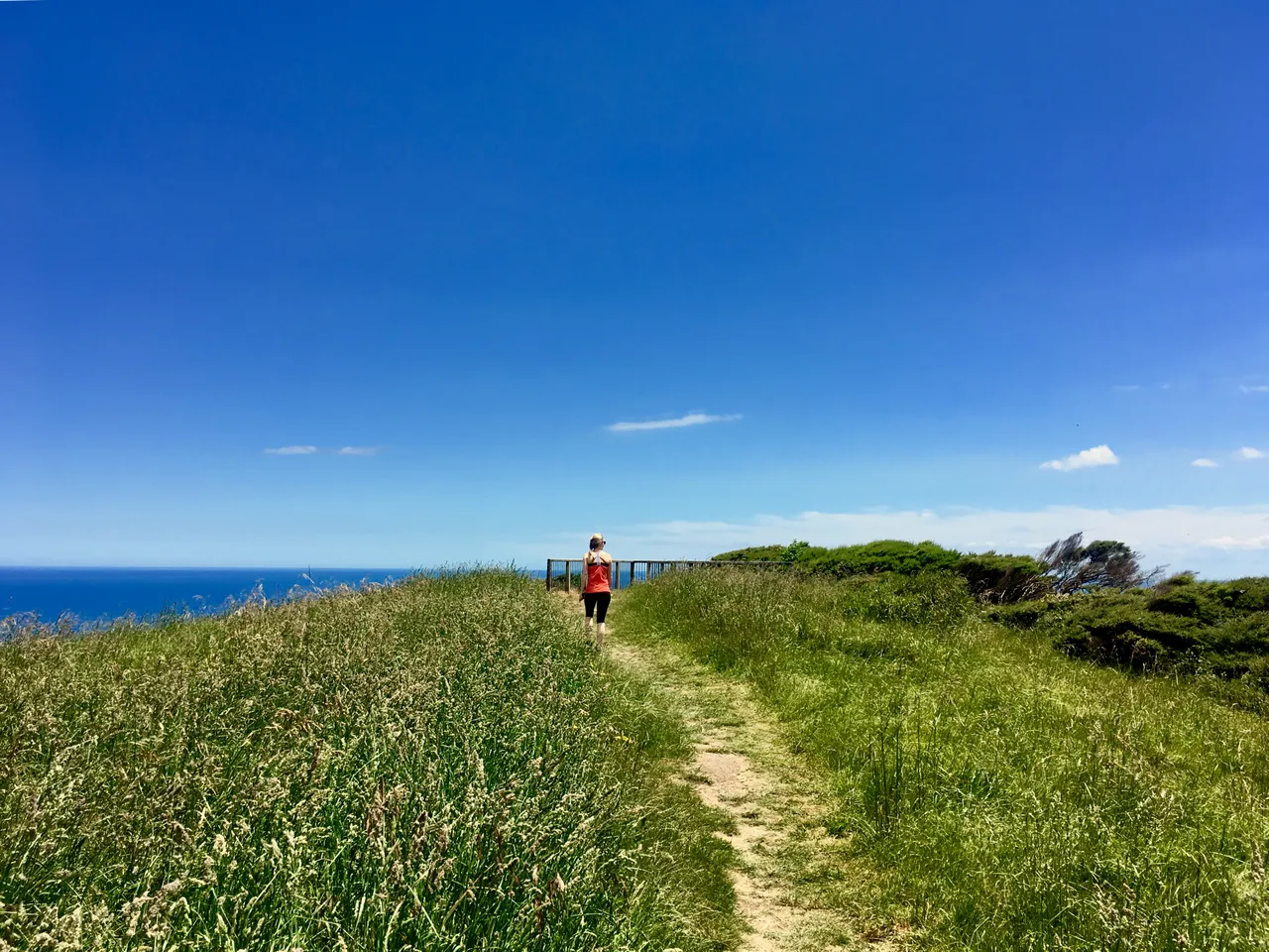 Walking in Raglan