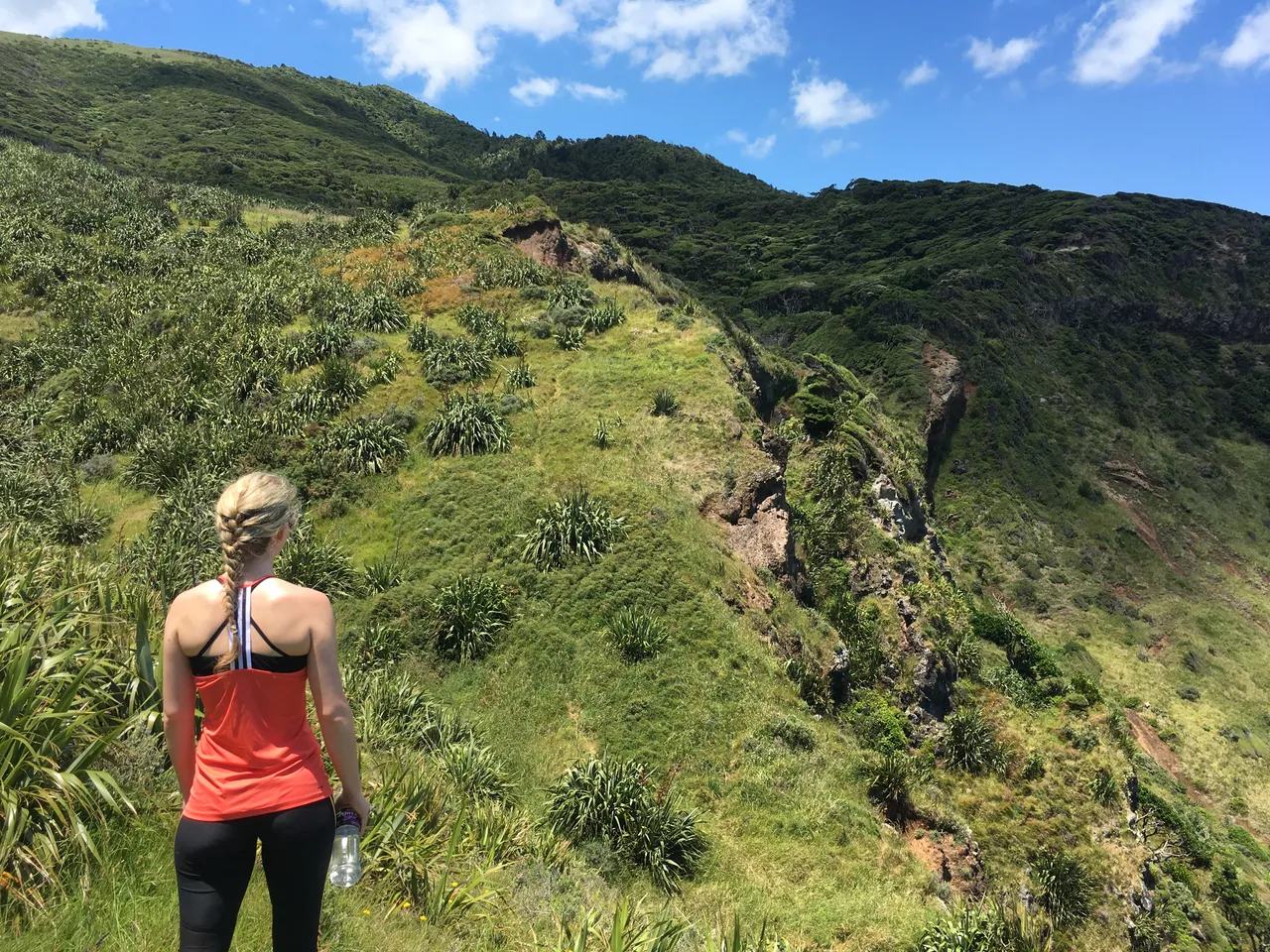 Adventure in Raglan