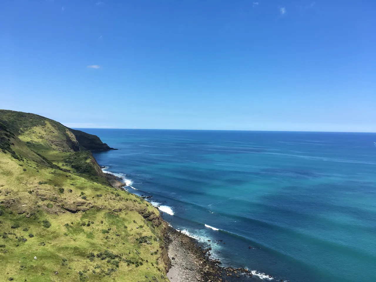 Raglan coastline