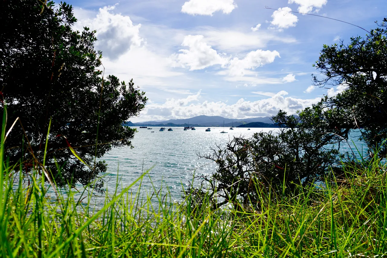 Coromandel42