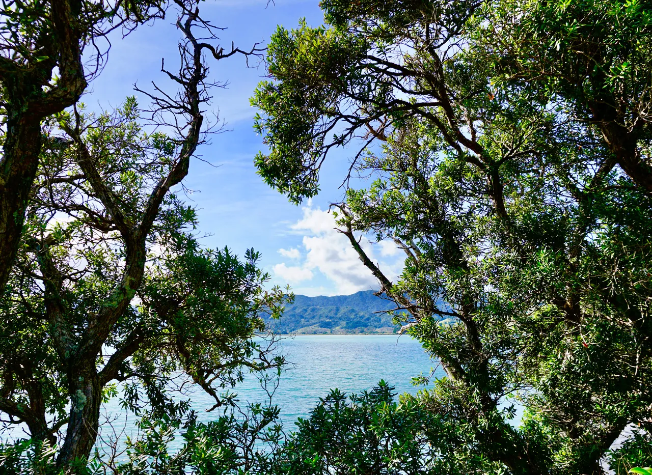 Coromandel38