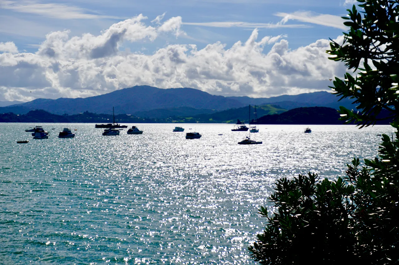 Coromandel40