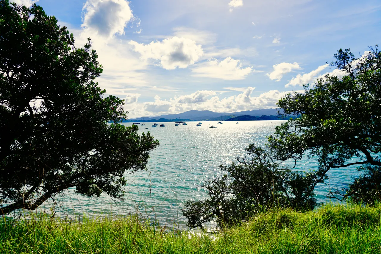 Coromandel37