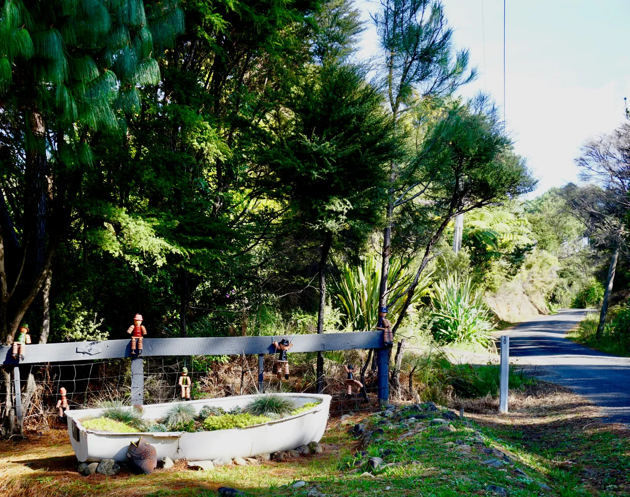 Coromandel36